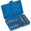 TECTAKE Coffret 34 Pièces Douilles Et Embouts Torx Femelle Et Mâle En Acier Chrome Vanadium - Bleu -TECTAKE Soldes 2022 66849990 1