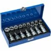 TECTAKE Set Coffret à Outils Boîte, Avec 16 Douilles 1/2" Torx Acier Chrome Vanadium Bleu - Bleu 2 TECTAKE Set Coffret à Outils Boîte, Avec 16 Douilles 1/2" Torx Acier Chrome Vanadium Bleu - Bleu -TECTAKE Soldes 2022 66851779 1