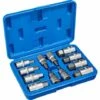 TECTAKE Coffret à Outils 12 Douilles Mâles Pour Clé à Cliquet En Acier Chrome Vanadium - Bleu 1 TECTAKE Coffret à Outils 12 Douilles Mâles Pour Clé à Cliquet En Acier Chrome Vanadium - Bleu -TECTAKE Soldes 2022 7514586 1