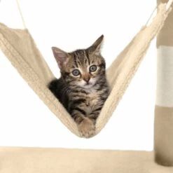 TECTAKE Arbre à Chat STOKELEY 141 cm - Griffoir, Grattoir Geant, Cadre D´escalade Pour Chat - Beige/blanc 10 TECTAKE Arbre à Chat STOKELEY 141 cm - Griffoir, Grattoir Geant, Cadre D´escalade Pour Chat - Beige/blanc -TECTAKE Soldes 2022 7844216 4