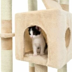 TECTAKE Arbre à Chat MOGLI 170 cm - Griffoir, Grattoir Geant, Cadre D´escalade Pour Chat - Beige 10 TECTAKE Arbre à Chat MOGLI 170 cm - Griffoir, Grattoir Geant, Cadre D´escalade Pour Chat - Beige -TECTAKE Soldes 2022 8944659 4